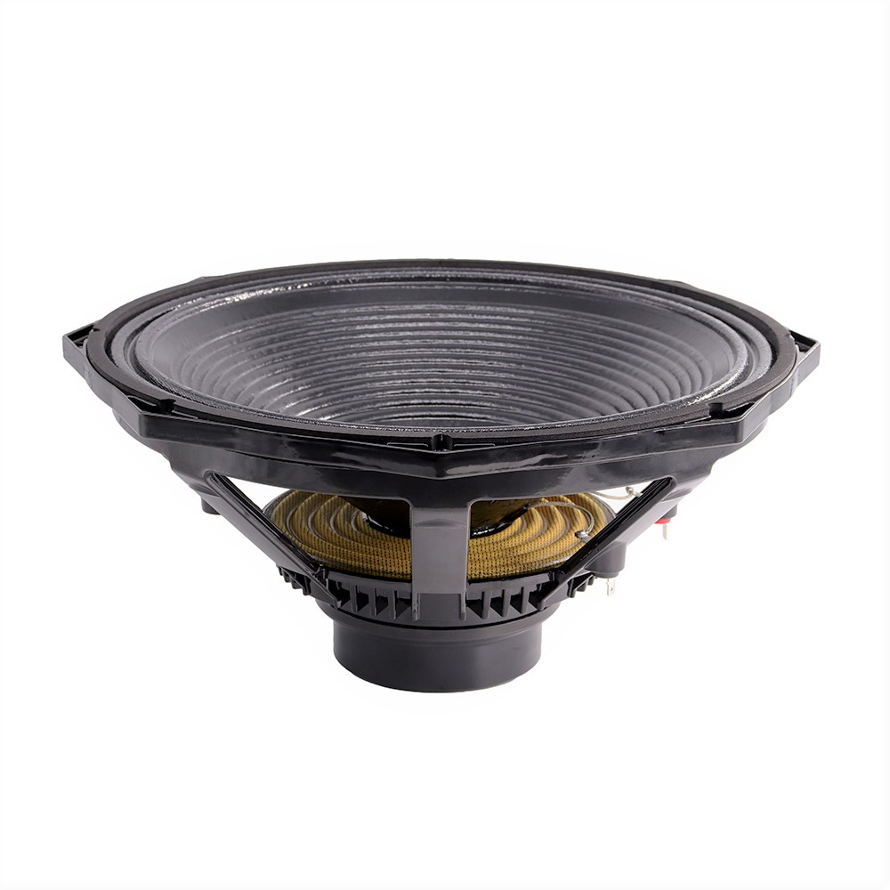 Altoparlante Professionale da  - Speakers recensione e prezzo